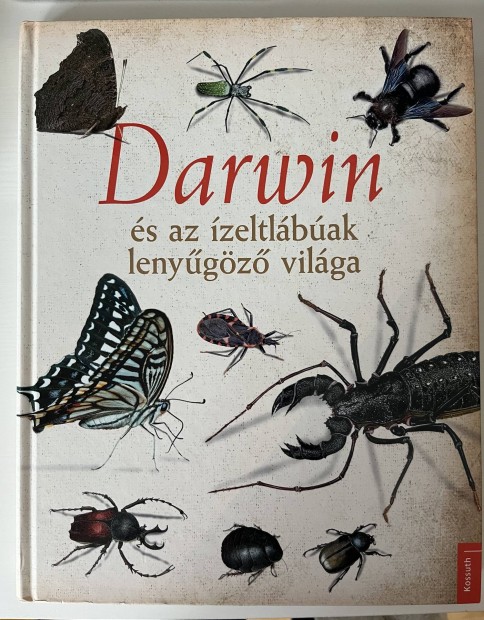 Darwin és az ízeltlábúak lenyűgöző világa