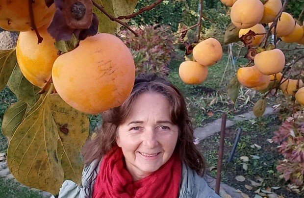 Datolyaszilva, jujuba, papau, pekándió, kivi, gránátalma, babérmeggy