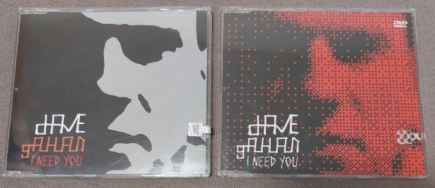 Dave Gahan : I need you lcd-dvd ( Depeche Mode )