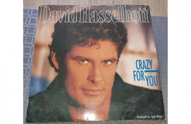 David Hasselhoff vinyl album