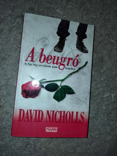 David Nicholls : A beugr