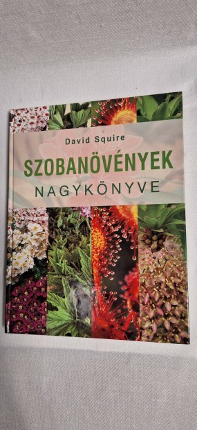 David Squire Szobanvnyek nagyknyve