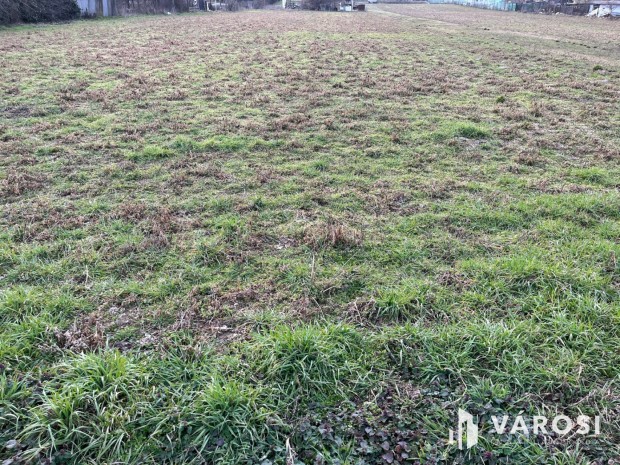 Debrecen Bic�-Istv�n Kertben Elad� Telek!