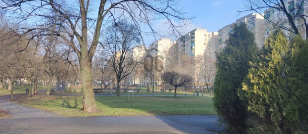 Debrecen Sestakertben  3 szoba, tkletes vlaszts!