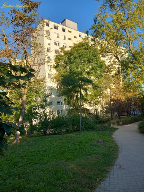 Debrecen, Belv�roshoz, egyetem k�zeli 35 nm-es lak�s kiad�