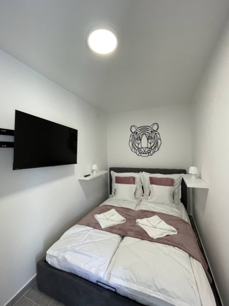 Debrecen, �v�ros / h�zr�sz / t�gla / 2 szoba / 25 m Kiad�