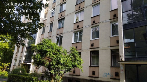 Debrecen, Viola utca, 56 m2-es, fldszinti laks elad!