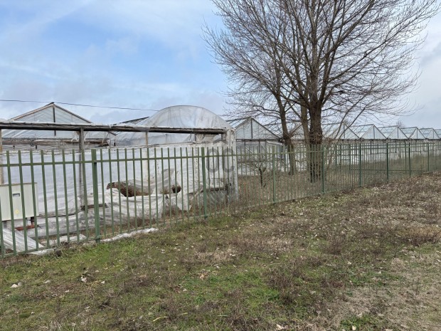 Debrecenben a S�msoni �t mellett 12381 m2 mez�gazdas�gi ter�let elad�!