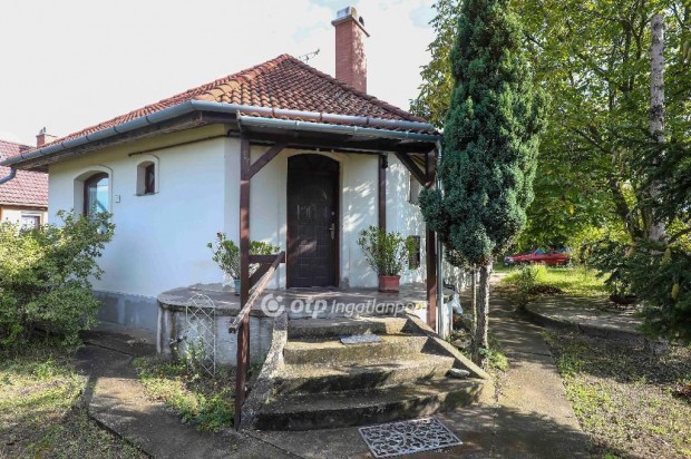 Debreceni 100 nm-es h�z elad�