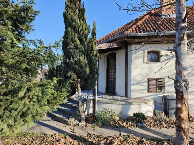 Debreceni 100 nm-es h�z elad�