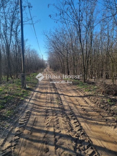 Debreceni 133005 nm-es telek elad�