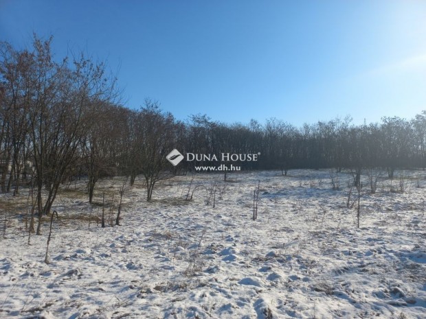 Debreceni 4646 nm-es telek elad�