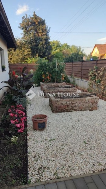 Debreceni elad� 100 nm-es h�z