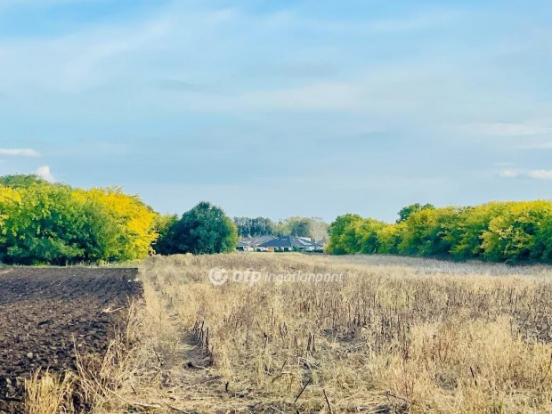 Debreceni elad� 3080 nm-es telek