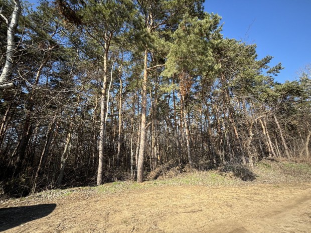 Debreceni elad� telek