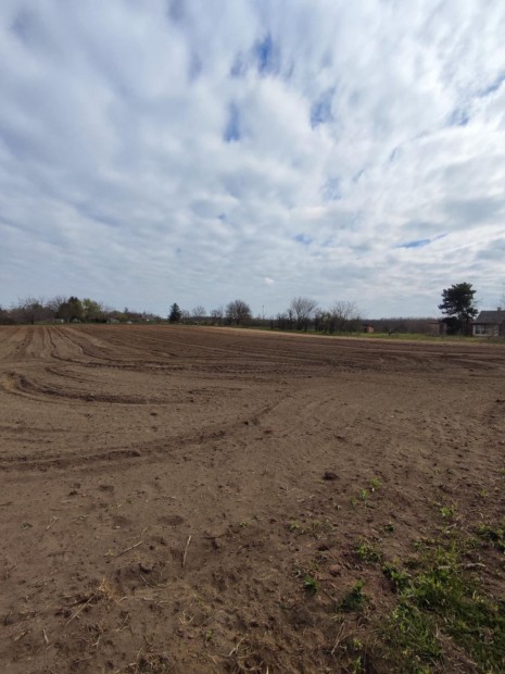Debrecentől 8 km-re Mikepércs Bodóházán eladó 2000 m2 telek, zárt