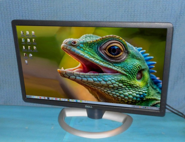 Dell 23" Full HD IPS Led Monitor (makultlan)