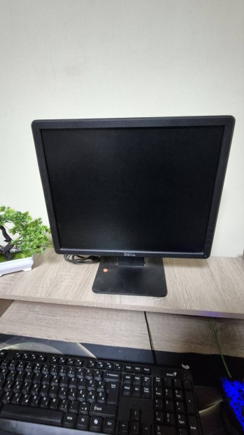 Dell E1715S Monitor