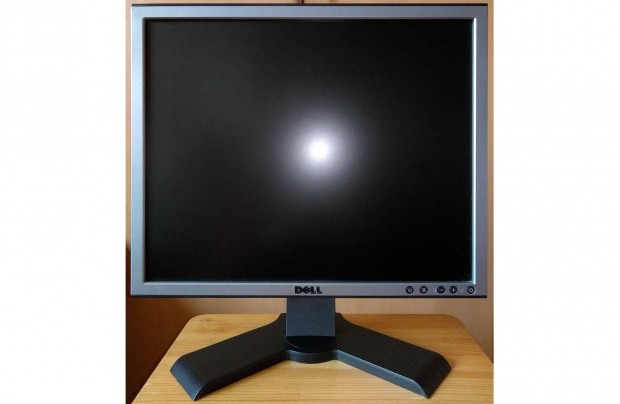 Dell P190ST 19 collos LCD monitor