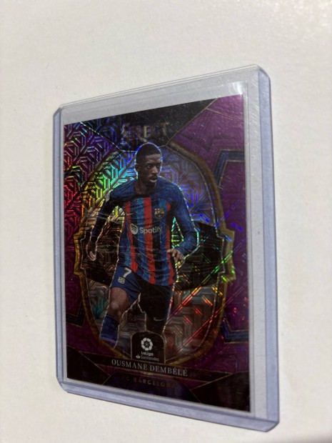 Dembl Purple Parallel focis krtya Barcelona