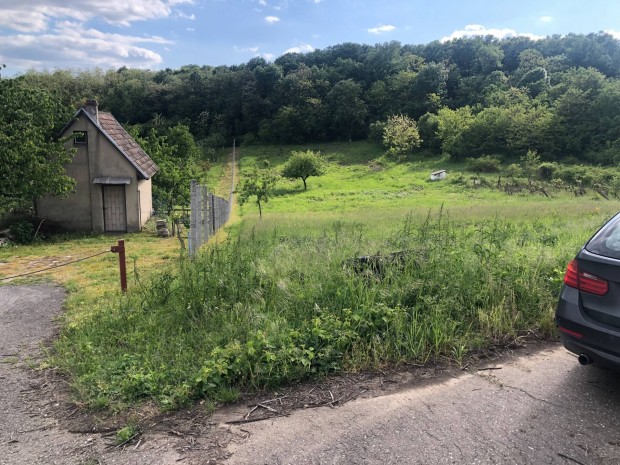 Demj�ni 2 szomsz�dos z�rtkert (3600m2) elad�