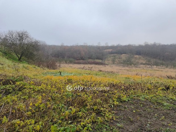 Demj�ni elad� 754 nm-es telek