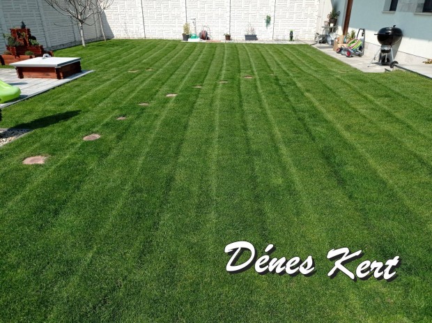 Dénes Kert - Gyepápolás, pázsitgondozás