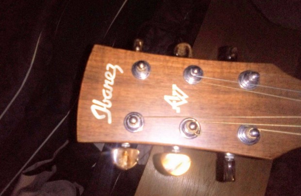 Der Echte Ibanez Artwood 55 100% Engelmann Spruce Folk Guitar+bag