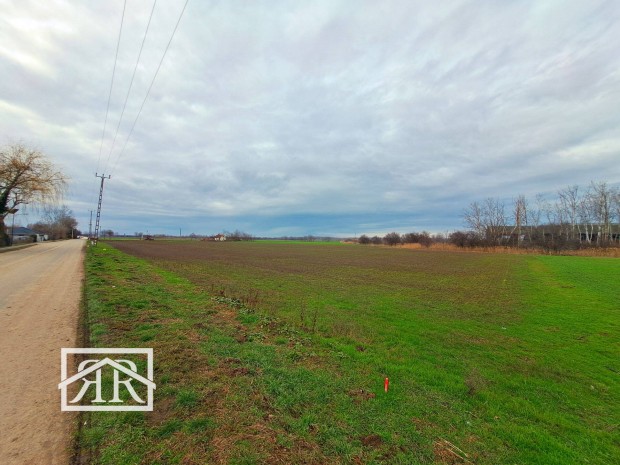 Deszk, Sz�regi soron, 7.180 m2-es telek elad�