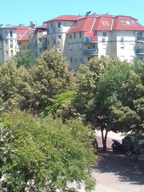 Diknak szoba
