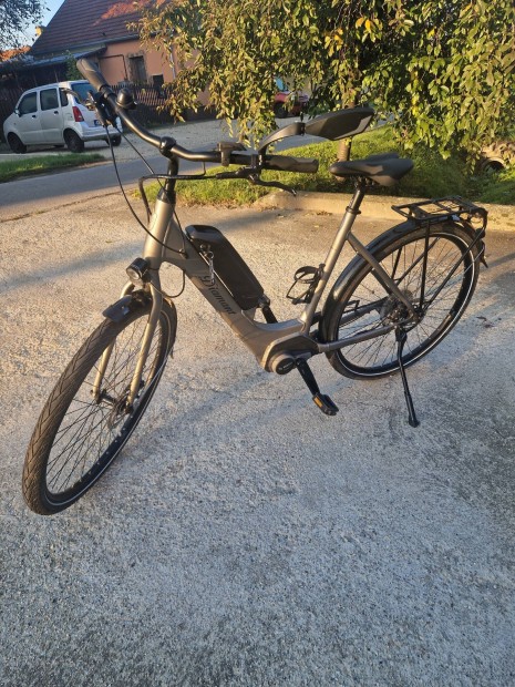 Diamant Eride+ Pedelec Ebike elektromos