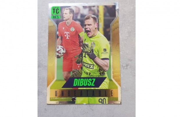 Dibusz top class alap unbeatable 2025