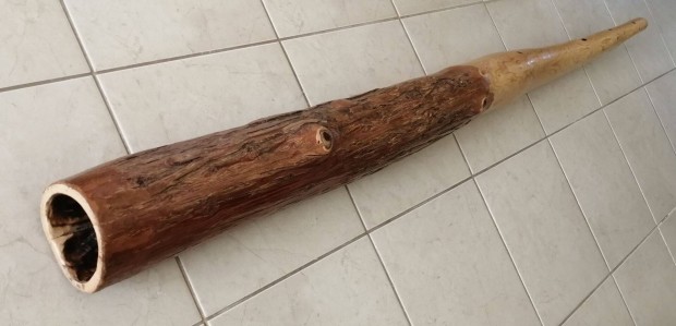 Didgeridoo (mocsári ciprus E-F)