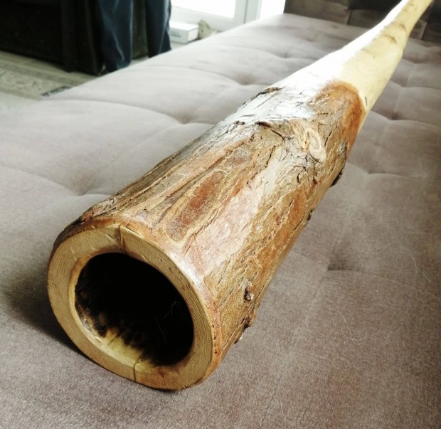 Didgeridoo (tuja C#)