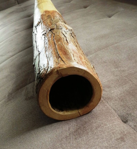 Didgeridoo (tuja, C#)