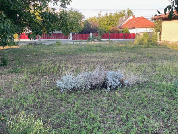 Dinny�sen elad� telek