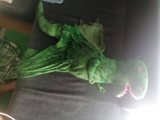 Dino jelmez 5 ves korig