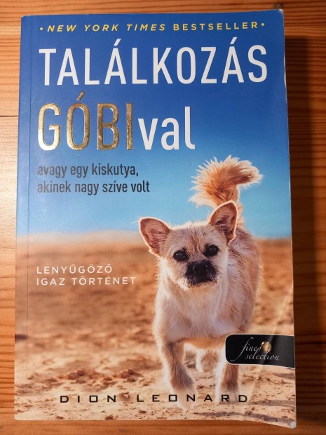 Dion Leonard: Találkozás Góbival