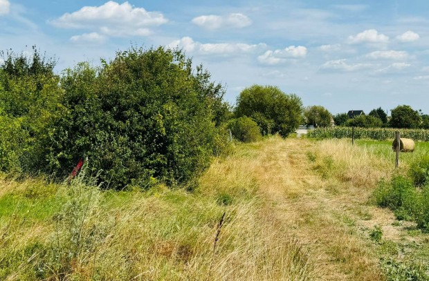 Disjen kzpontban 800m2 es klterleti telek elad