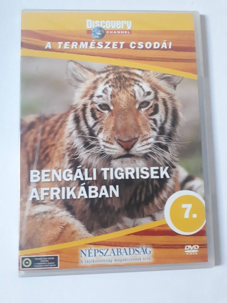 Discovery Channel DVD - Bengli tigrisek Afrikban (posta 510 Ft)