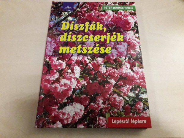 Dszfk, dszcserjk metszse (lpsrl lpsre)