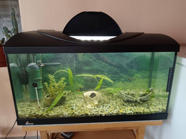 Diversa akvrium
