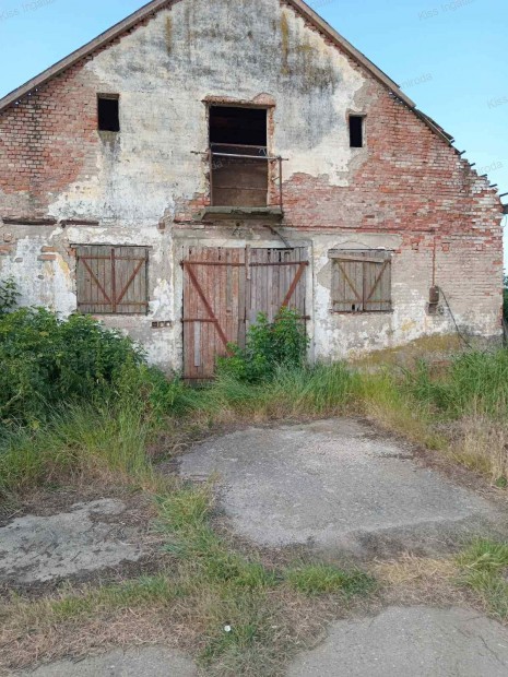 Dombegyház - 1,5 hektáron GAZDASÁGI ÉPÜLET 50 állásos istállóval,