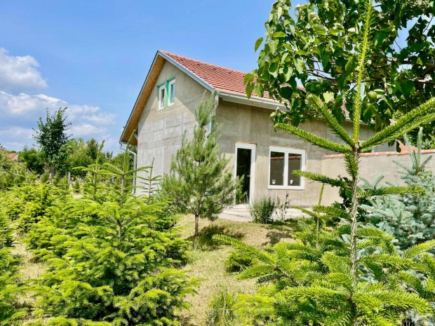 Dömsödön 30m2 -es ( +22 m2 ) új építésű ház eladó