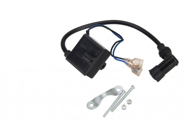 Dong motor CDI