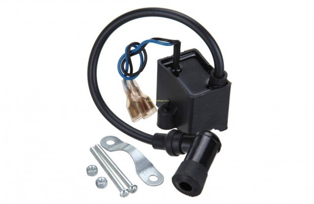 Dong motor CDI