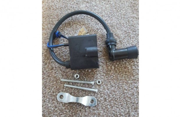 Dong motor CDI