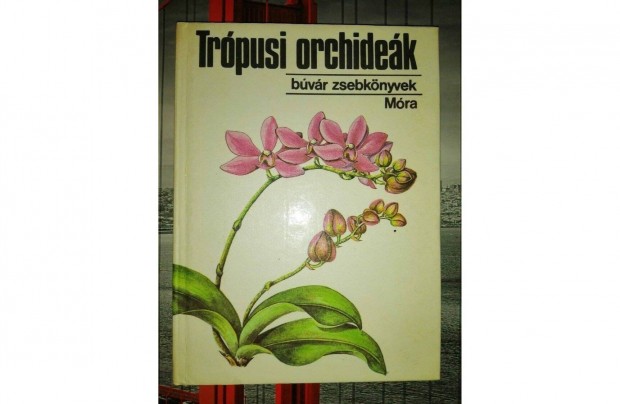 Dr. Sulyok Mria - Trpusi orchidek