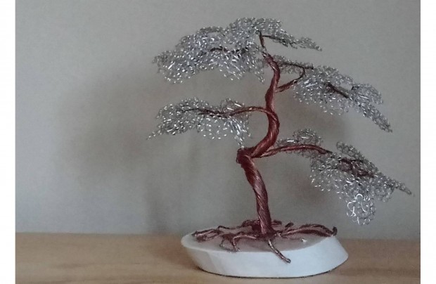 Drtfa szerencsefa bonsai letfa