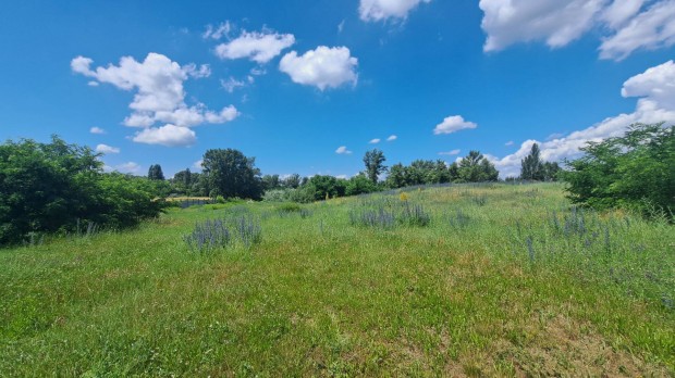 Duna parti fekv�s� K-REK besorol�s� 4 hekt�ros telek elad�